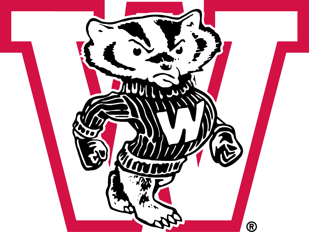 Wisconsin Badgers 1948-1956 Primary Logo diy DTF decal sticker